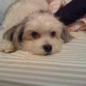 Meet your Posher, Sue